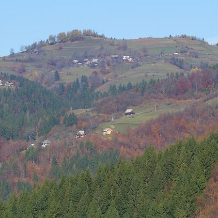Kings Valley - Sunny Botesti Cîmpeni Exterior foto