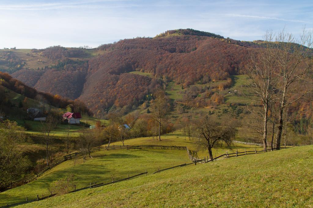 Kings Valley - Sunny Botesti Cîmpeni Exterior foto