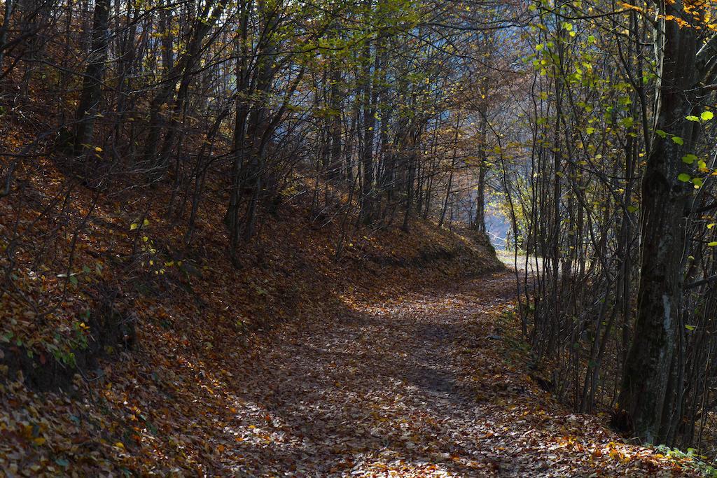 Kings Valley - Sunny Botesti Cîmpeni Exterior foto