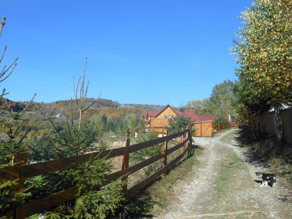 Kings Valley - Sunny Botesti Cîmpeni Exterior foto