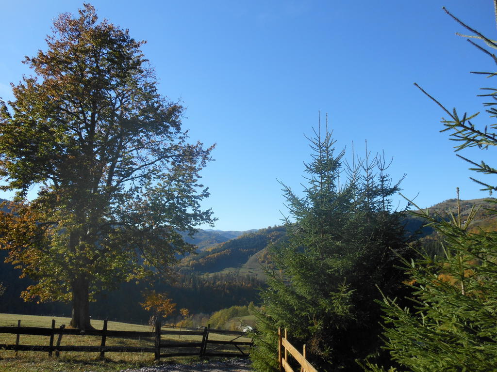 Kings Valley - Sunny Botesti Cîmpeni Exterior foto