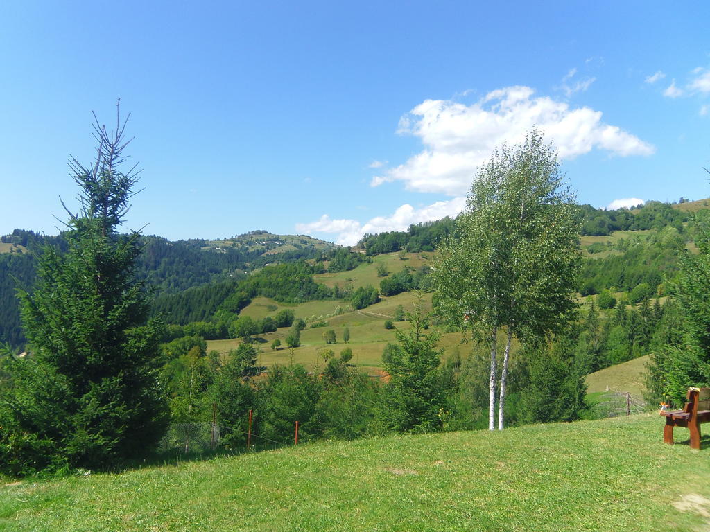 Kings Valley - Sunny Botesti Cîmpeni Exterior foto