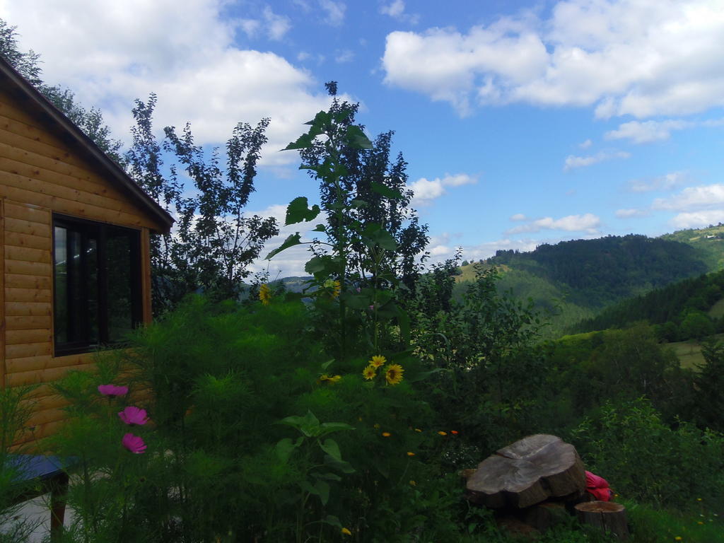 Kings Valley - Sunny Botesti Cîmpeni Exterior foto