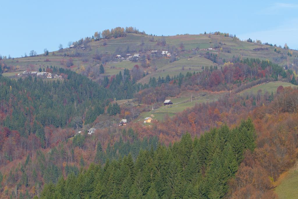Kings Valley - Sunny Botesti Cîmpeni Exterior foto